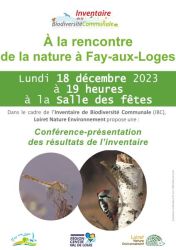 Conférence & Présentation - IBC