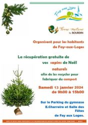 Collecte des sapins