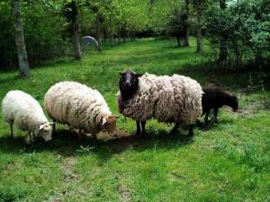 p15-05-12_13.07_original